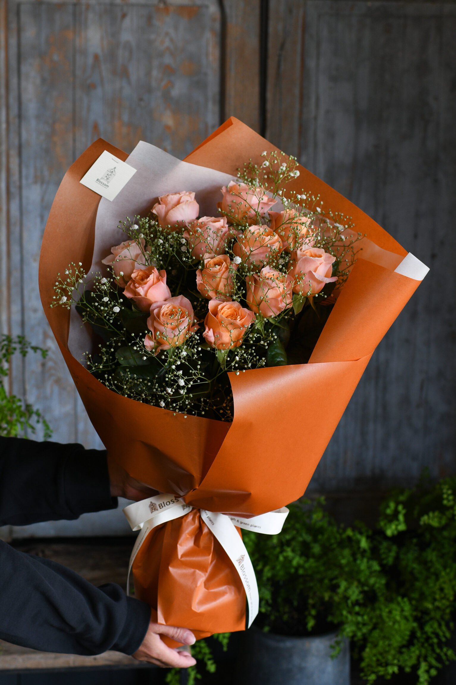 オレンジ薔薇12本とかすみ草のモダンブーケ(シンプルラッピング)