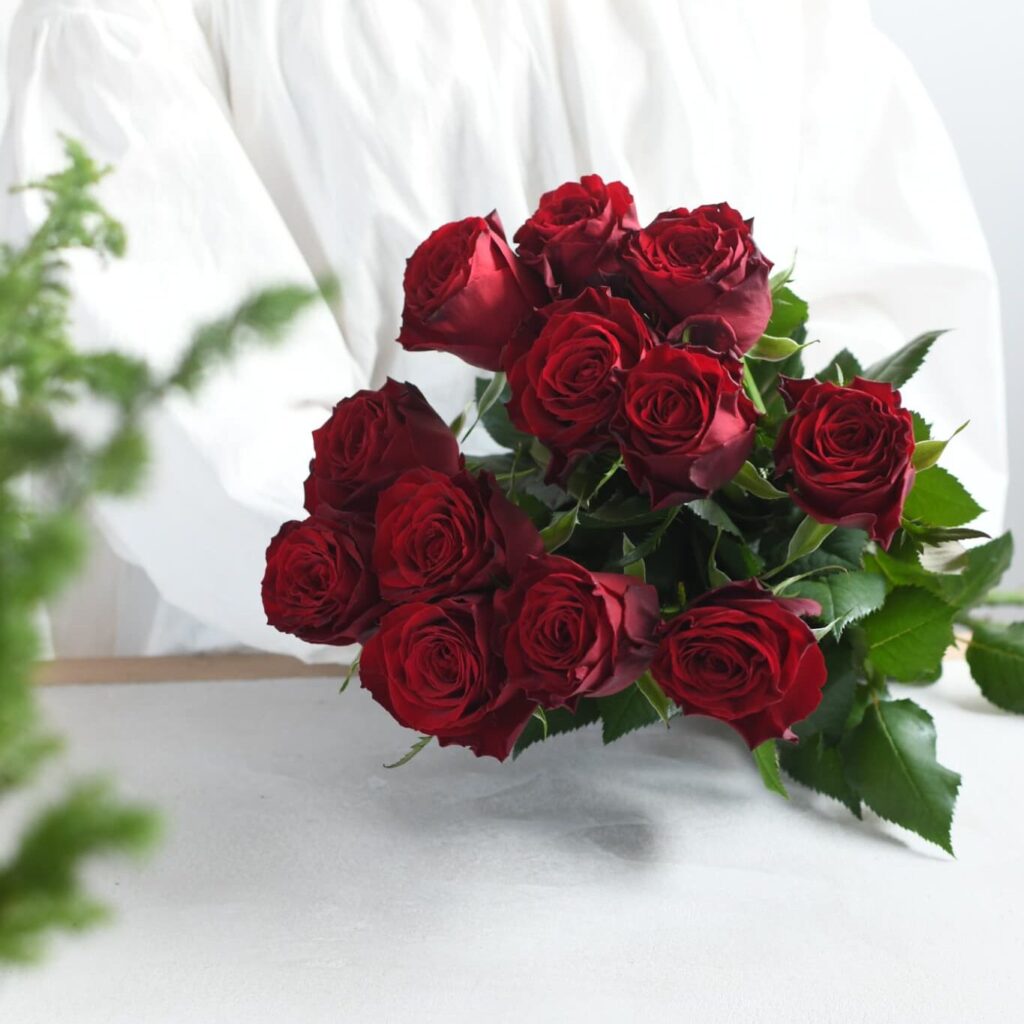 赤色の薔薇