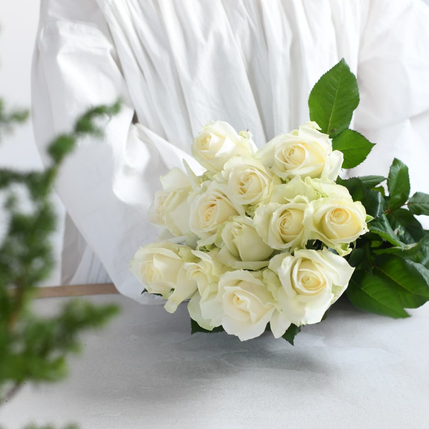 白色の薔薇