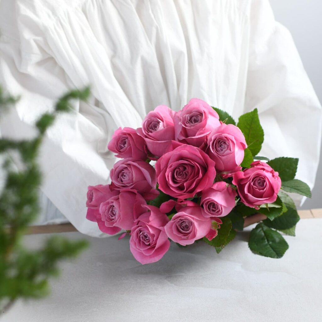 ピンク色の薔薇