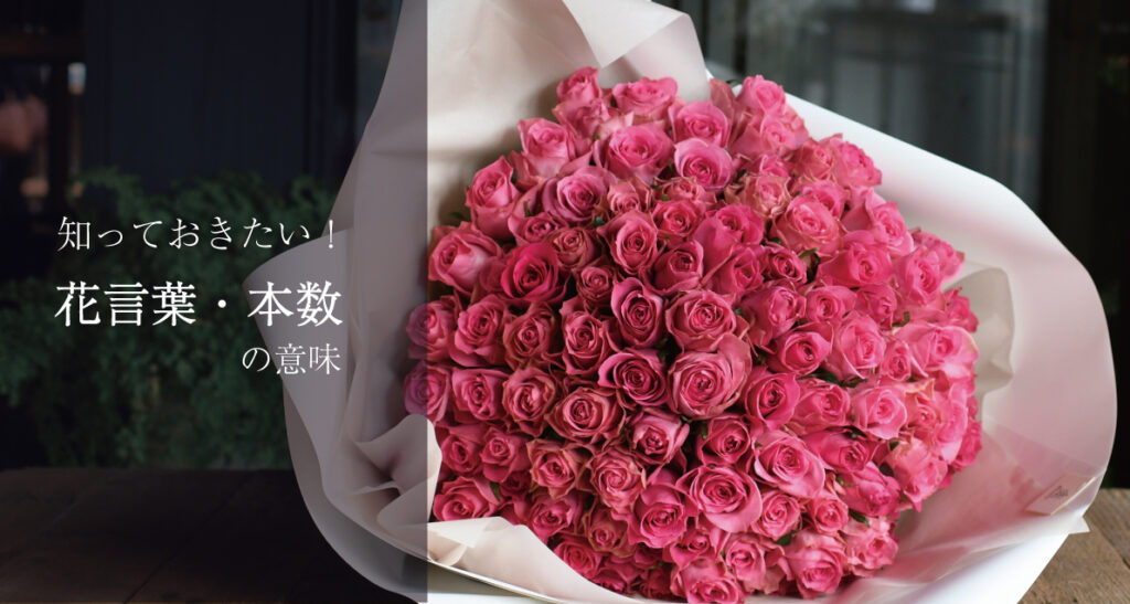 知っておきたい薔薇の花言葉・本数の意味