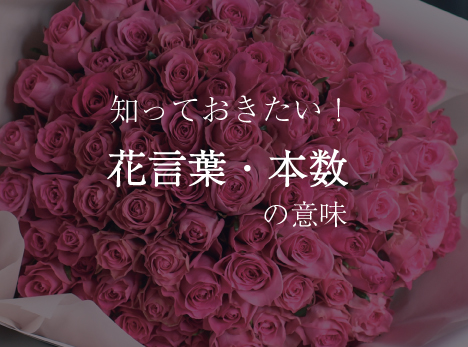 プロポーズに贈る薔薇の花束｜本数や色に込められた花言葉を解説
