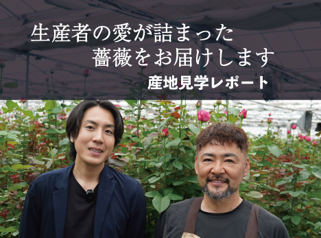 なぜThe Rose Bouquetは神田バラ園の薔薇を選ぶのか｜産地見学レポート
