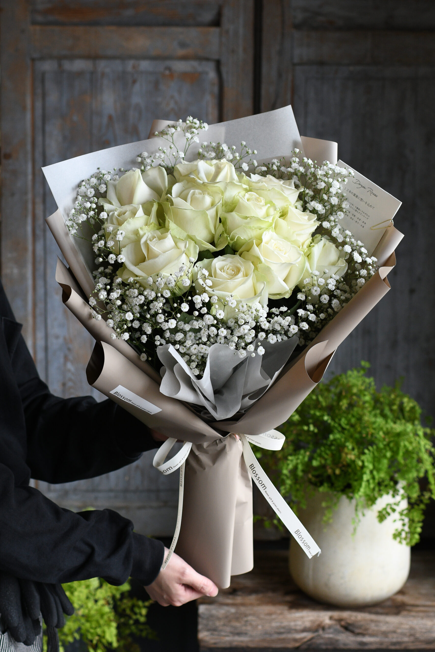白薔薇12本とかすみ草のドレスブーケ(韓国風ラッピング)