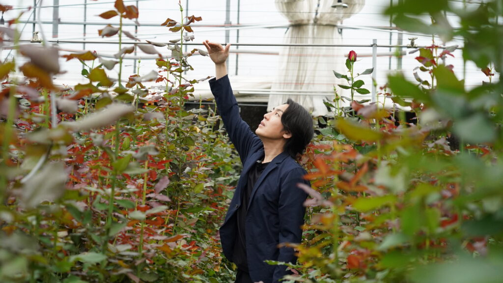 薔薇の生産地を訪れ、生育状態を確認する代表フローリスト日坂亮太